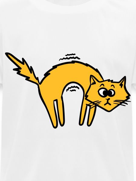 Cool cat