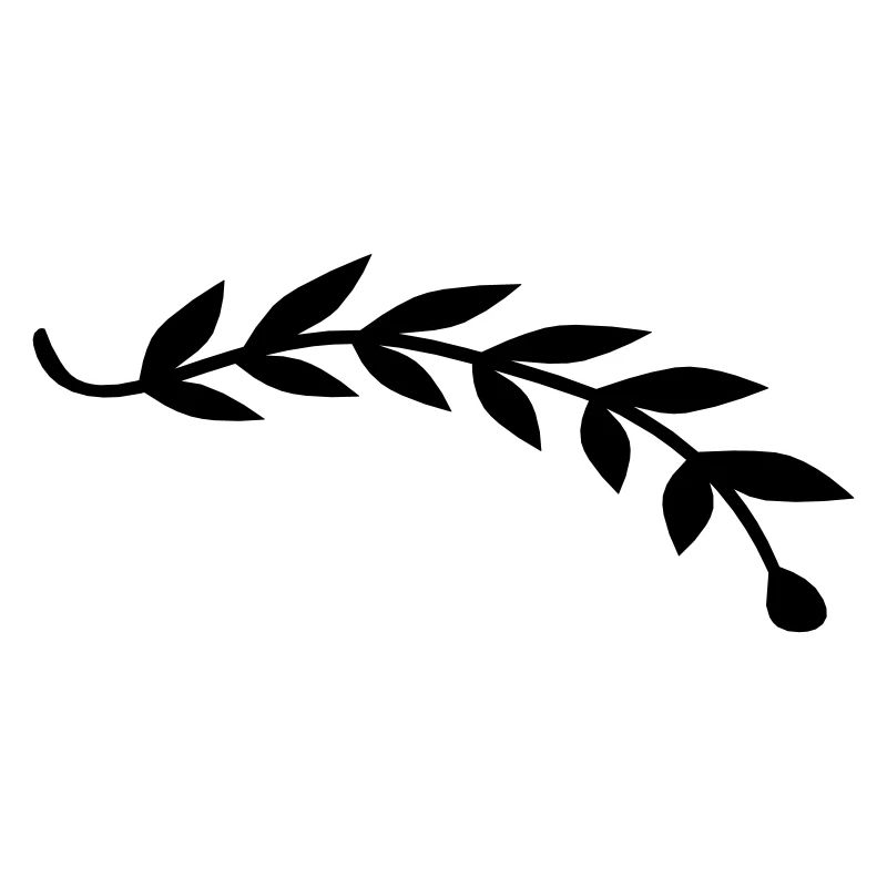 Branche de plante de feuille de laurier
