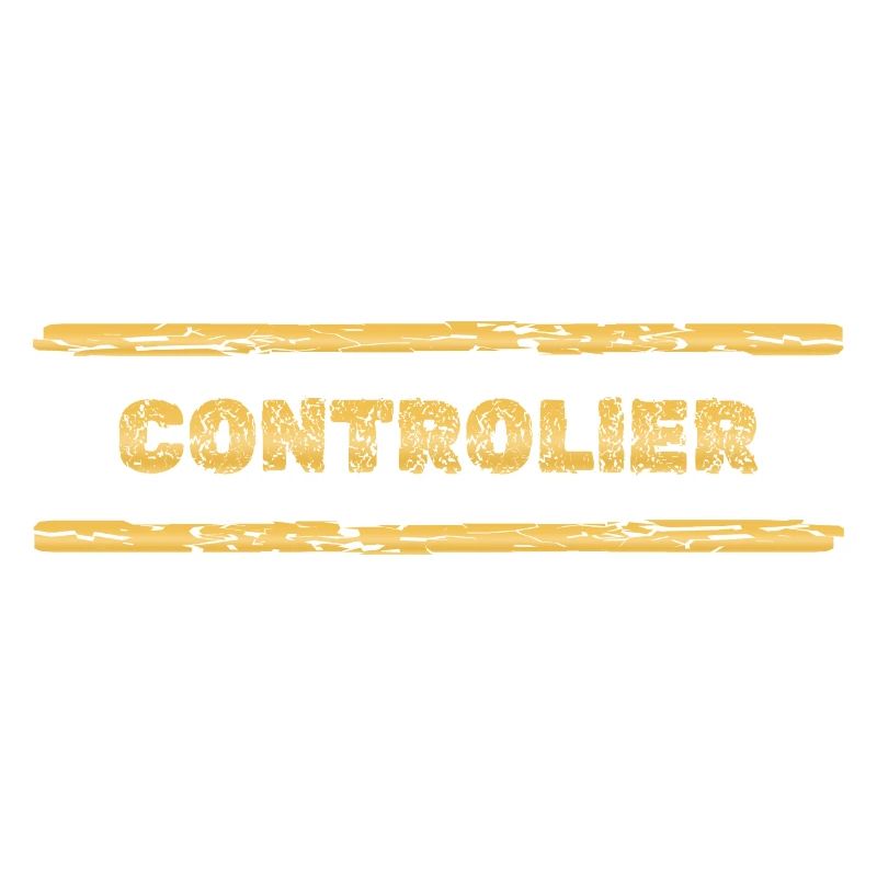 Beruf Controller