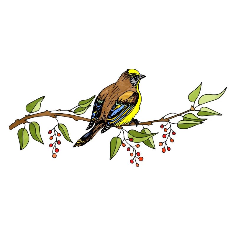 Vogel