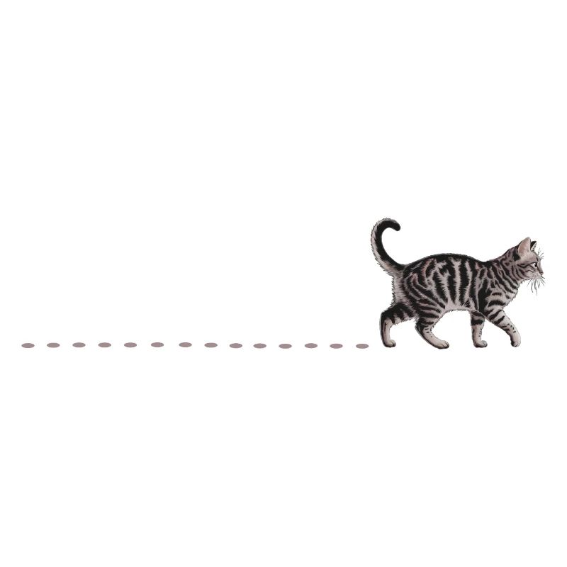 Chenilles de chat, Chat à poil court, Chenilles de chat, Chats domestiques