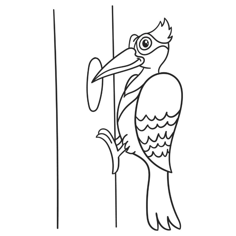 Specht, Vogel, Geschenk, Geschenkidee