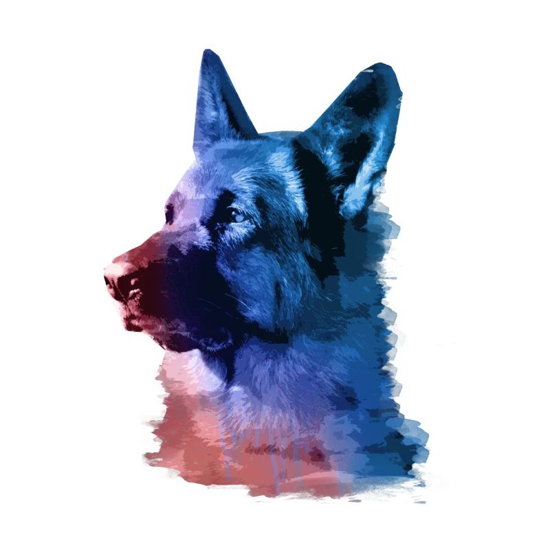 deutscher schäferhund,schäferhund,hund,graffiti