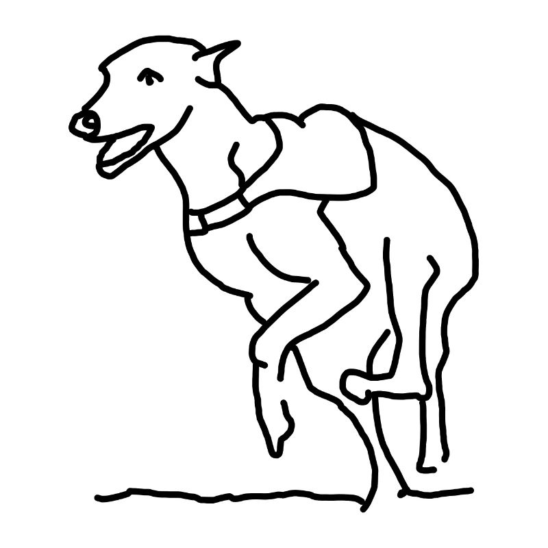 Greyhound on the move - while he runs