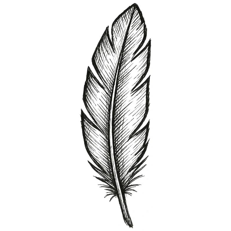 Black glitter feather with texture