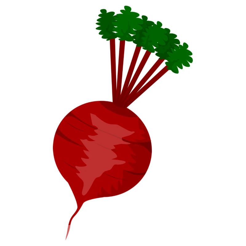 Radieschen