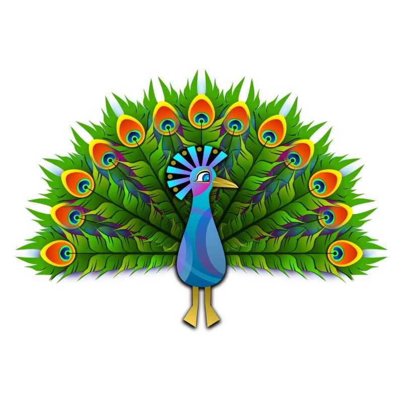Peacock