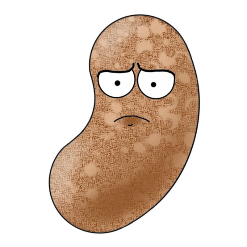 DisappointedBean