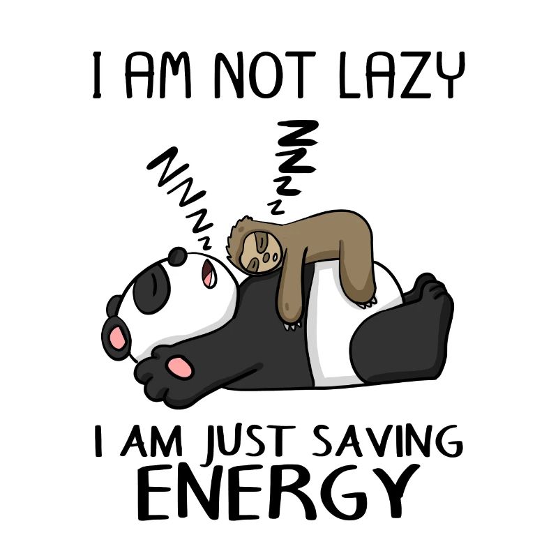 Funny Sloth Panda Saying Funny Gift