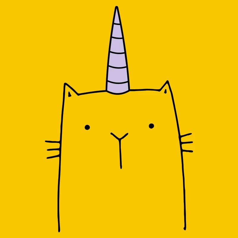 Cadeau mignon chat licorne