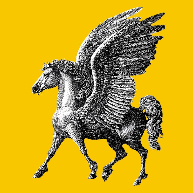 Pegaso alato – Incisione mitologica