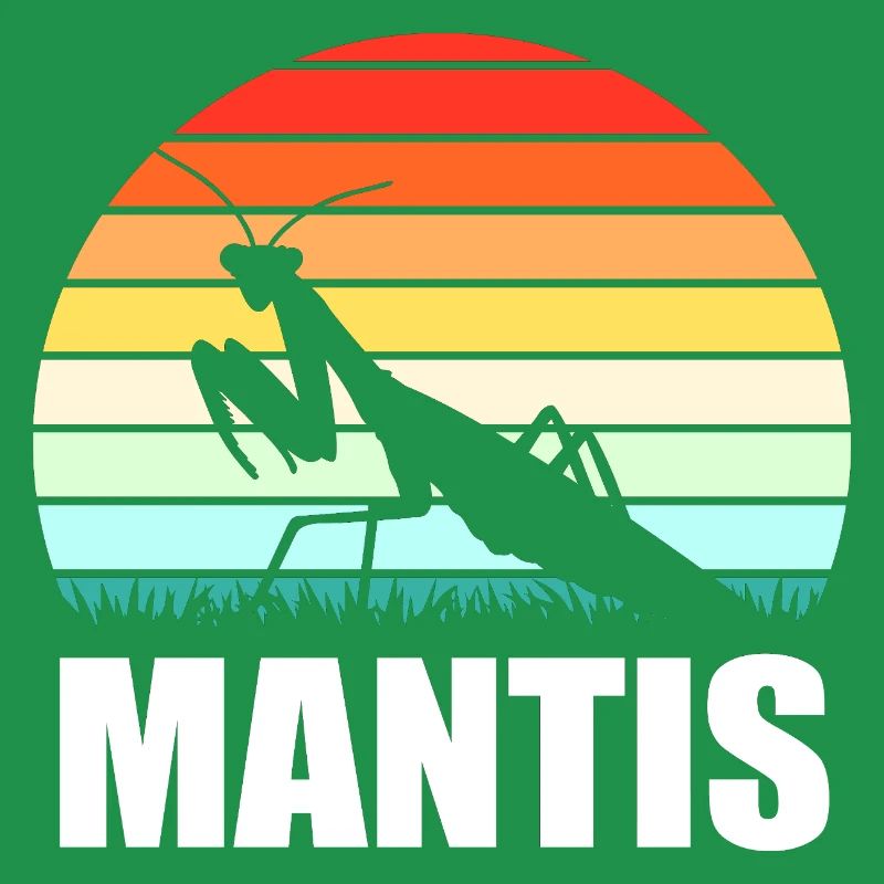 Mantis Gottesanbeter Gottesanbeterin