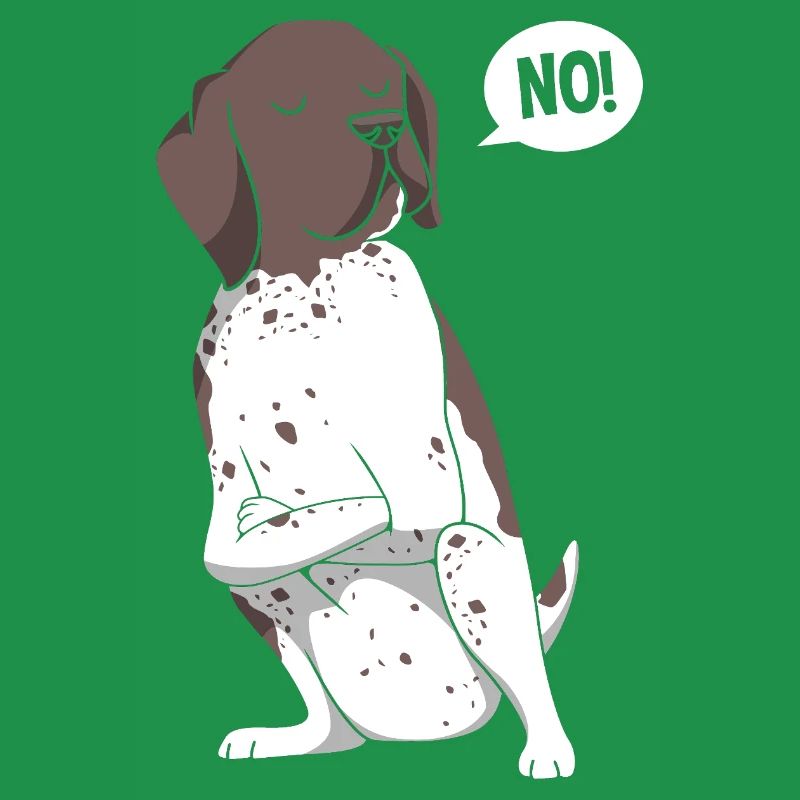 German Pointer Hund Deutsch Kurzhaar