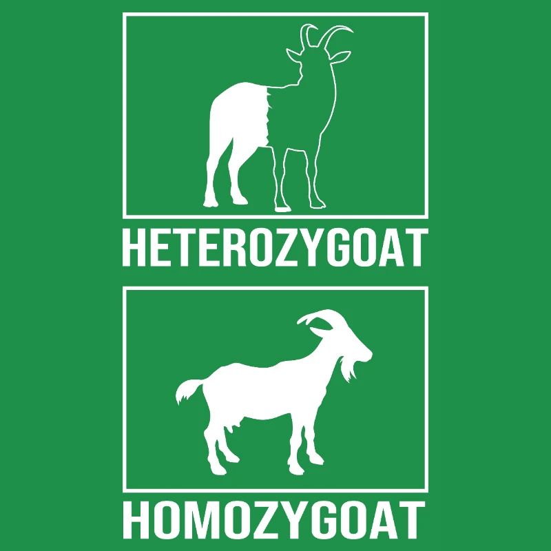 Molecule Structural Formula