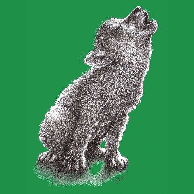 Junger heulender Wolf