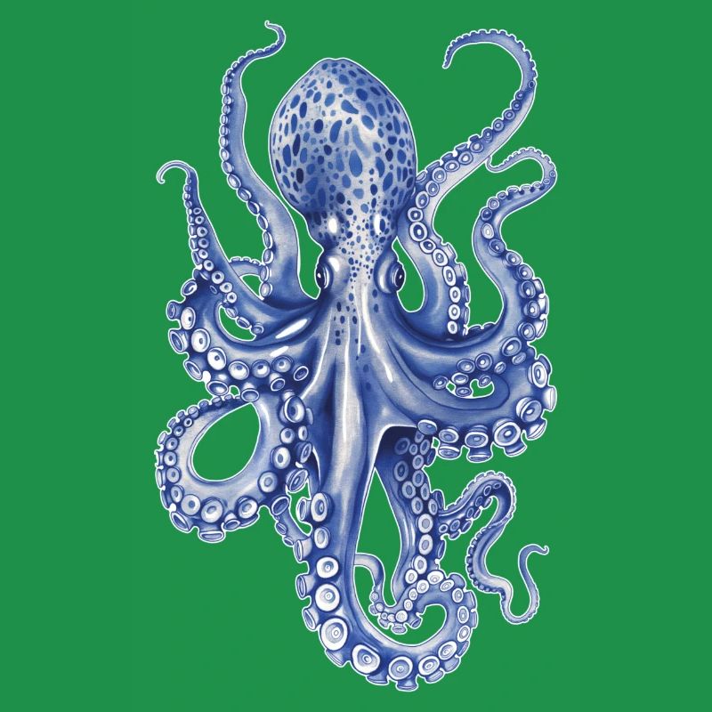 Octopus