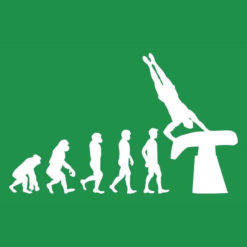 Kunstturnen Voltigier Turner Evolution Funny