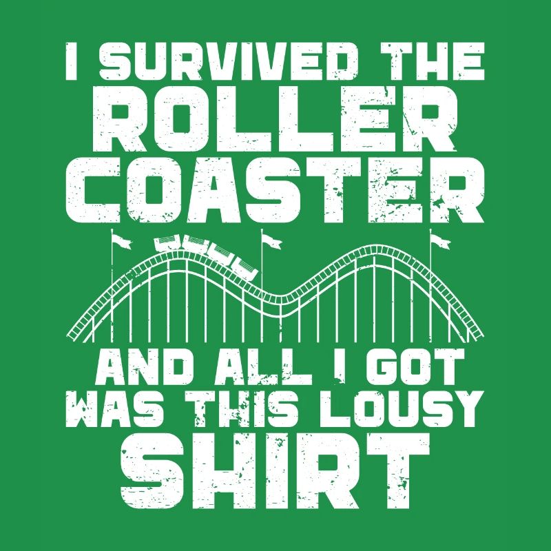 Roller Coaster Amusement Park Roller Coaster Ride