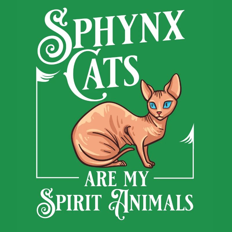 Sphynx Chat Sphinx Chaton sans poils Egypte