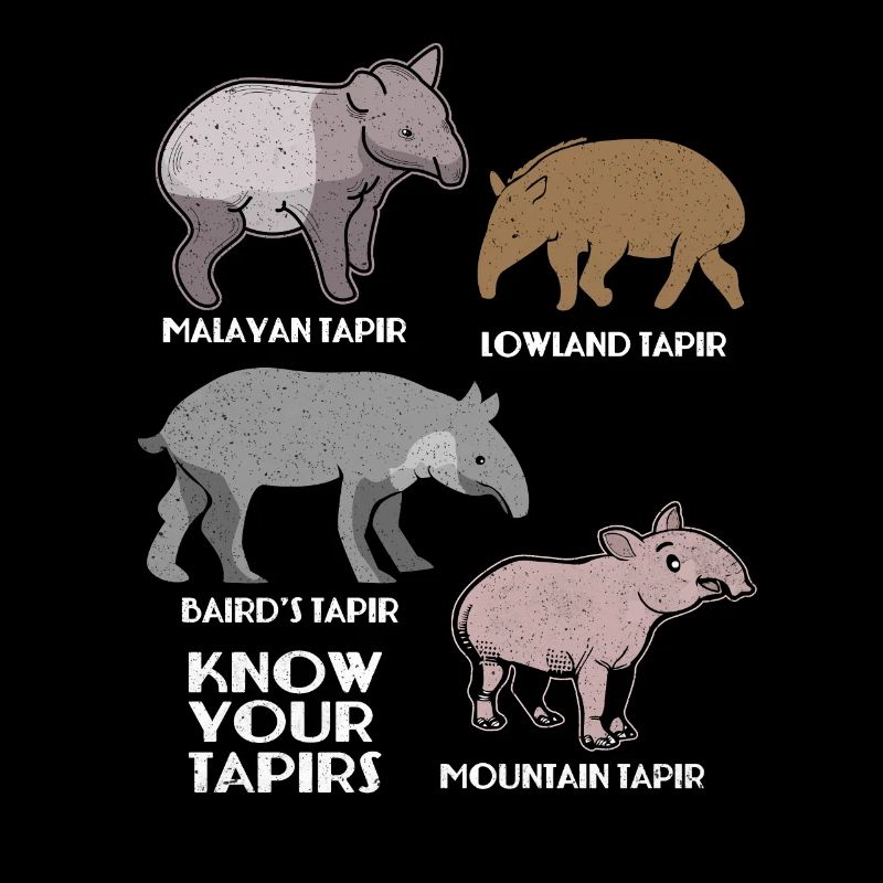 Tapir