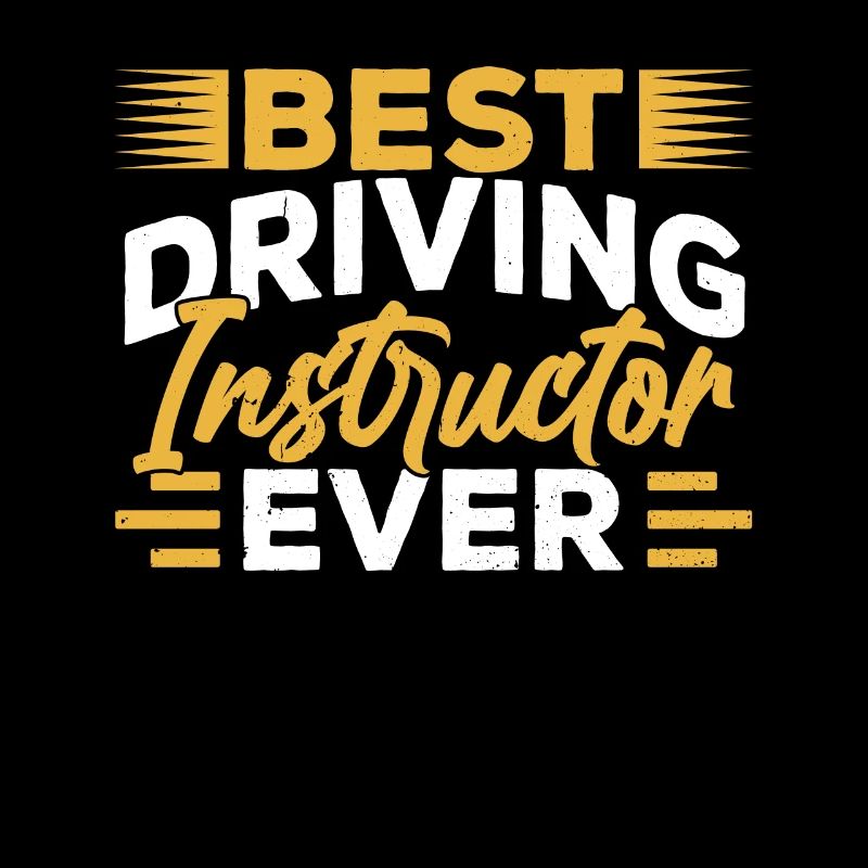 Best driving instructor ever profession driving school