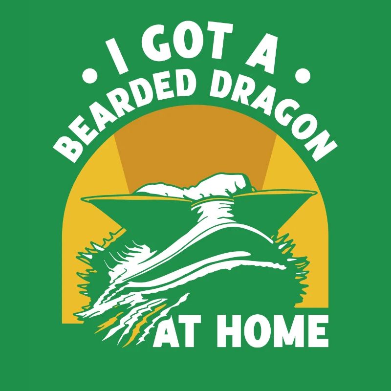 Ich Habe Eine Bartagame Zu Hause Bearded Dragon