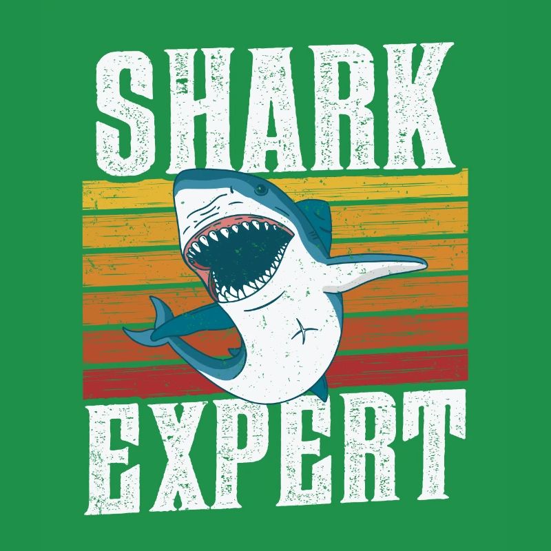 Shark Expert Requins Requins Plongée avec les requins Dent de requin
