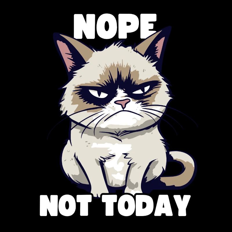 Funny Grump Cat - Nope, Not Today - Sarcasm