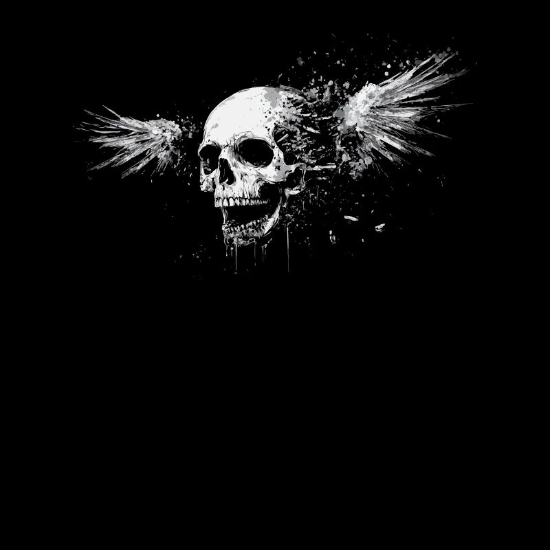 Skull with wings for bikers – Grunge Splash