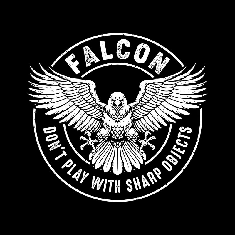 Falcon Sharp objects Falconry Ornithologist Eagle
