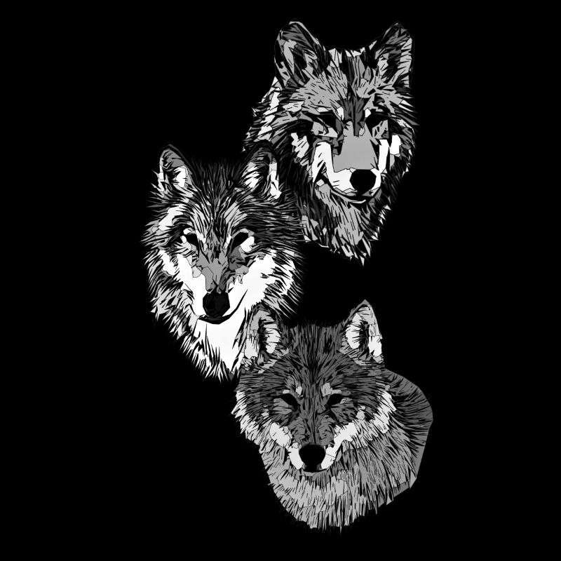 Drei Wolfsköpfe in grau