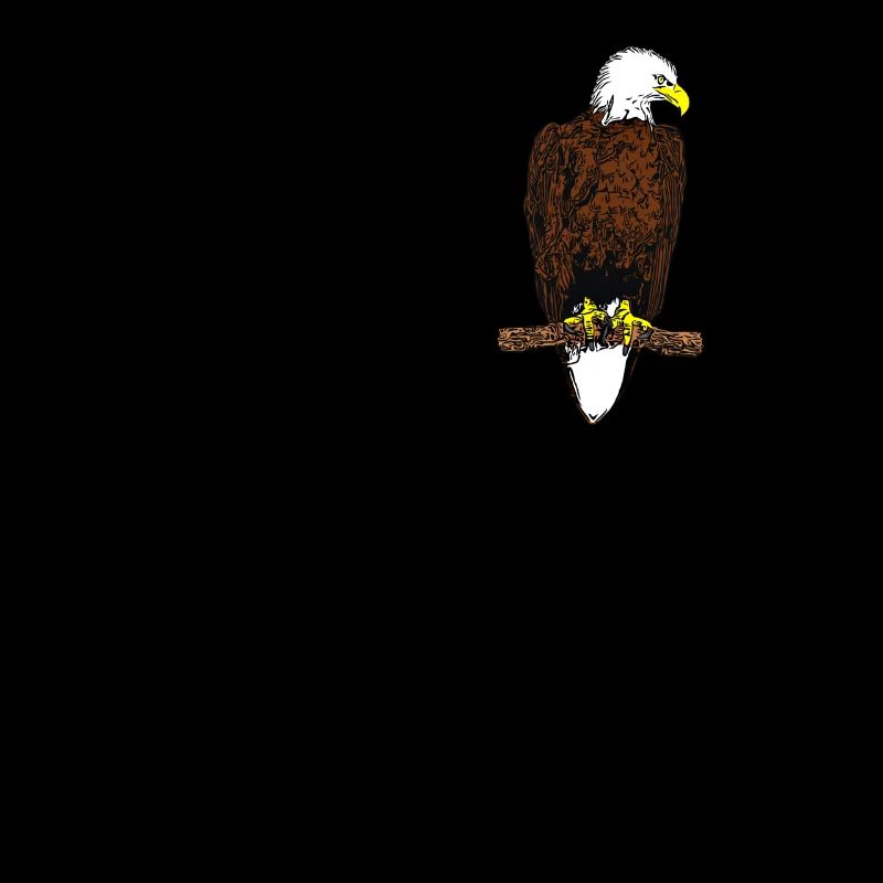 Pygargue à tête blanche - Aigle oiseau Design graphique