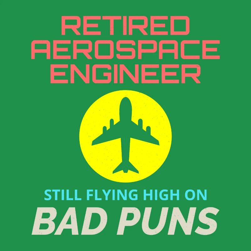 Retired Aerospace Engineer Flight Mechanics Plane