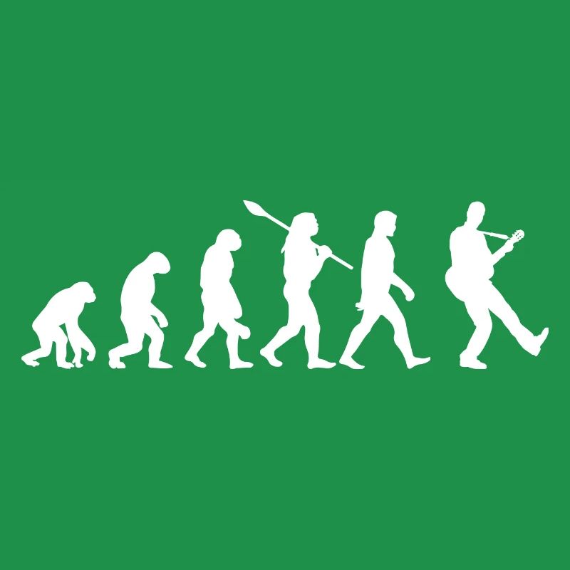 Guitare évolution