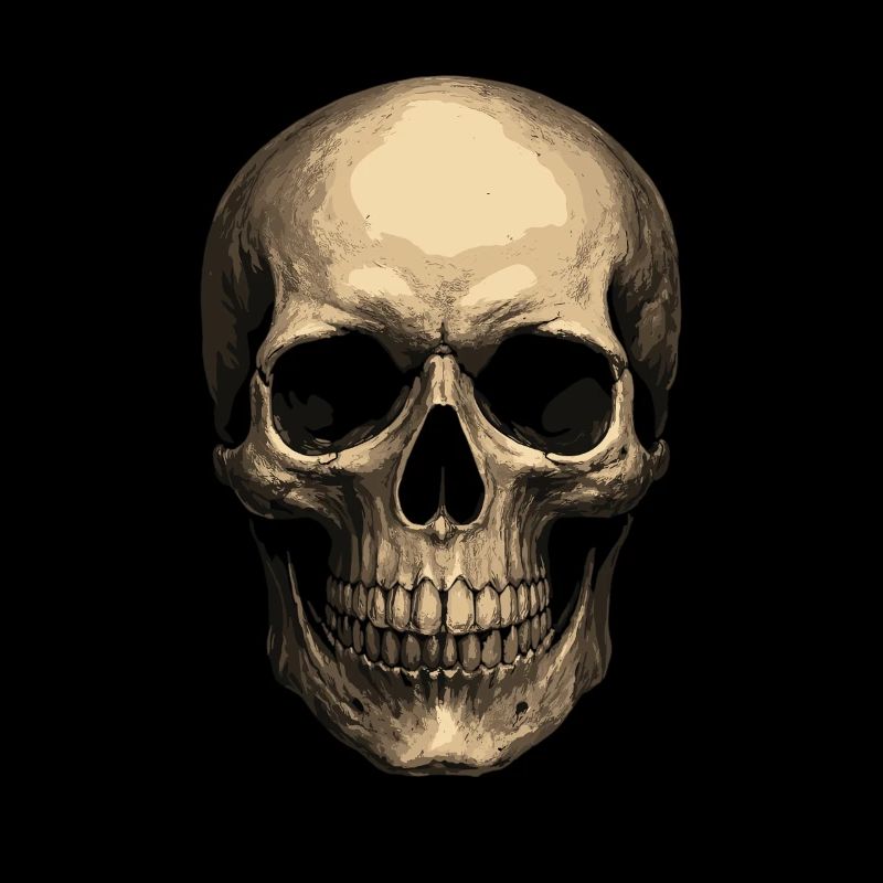 Realistic Skull – Skull Art