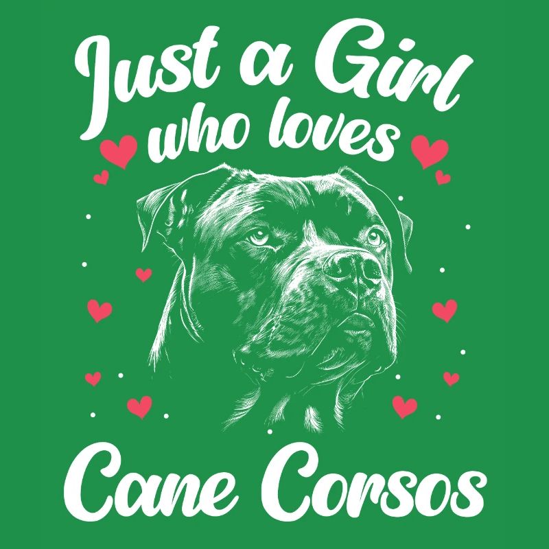 Cane Corso Hund
