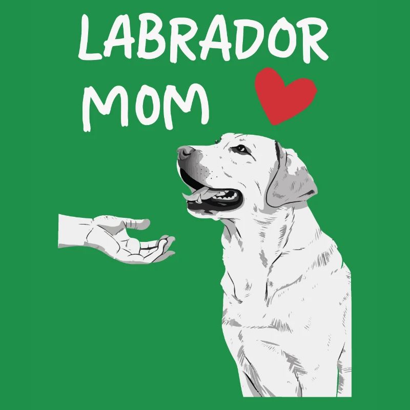 Labrador Hund