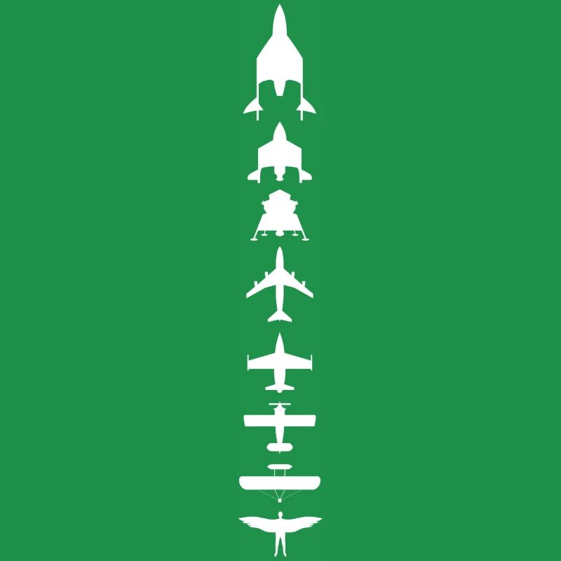 Evolution des Fliegens