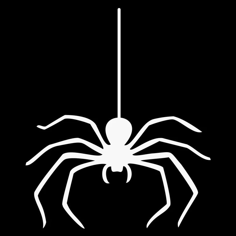 Spider / Spinne