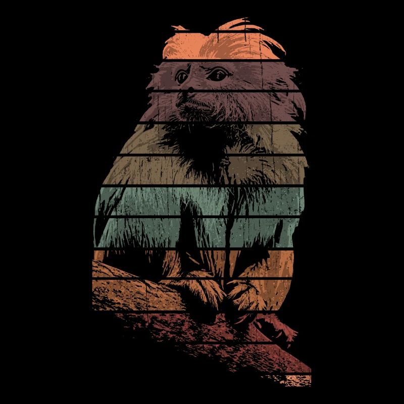 Singe Tamarin Primate