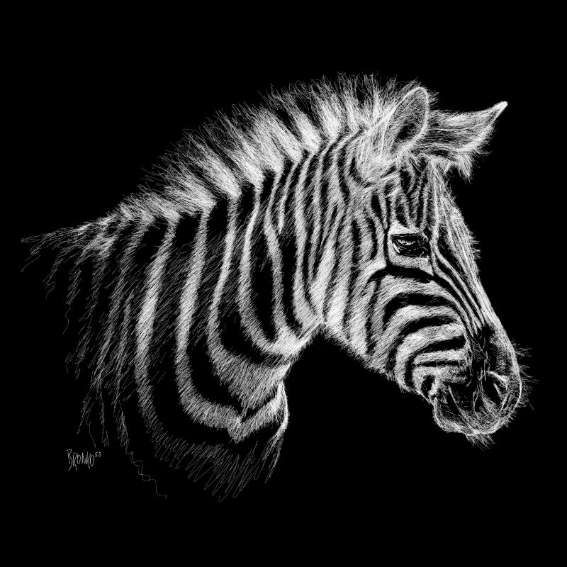 Bronko55 No.54 – Zebra