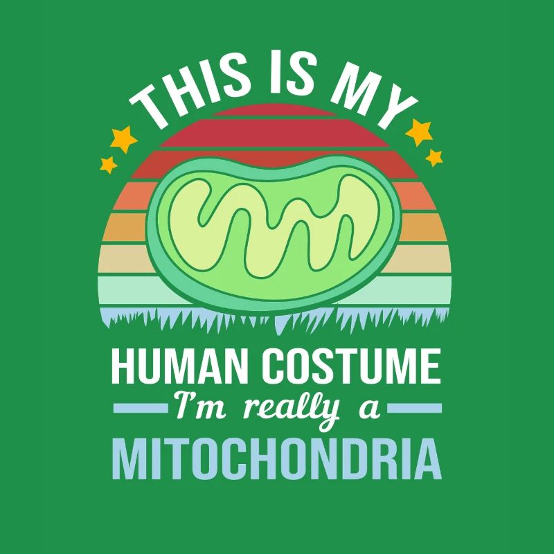 Formule structurelle de la molécule