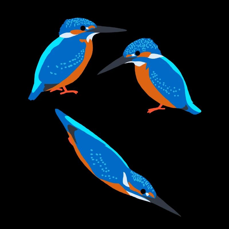 Vögel Eisvogel