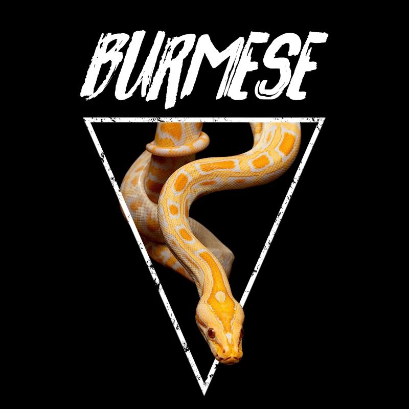 Propriétaire de serpent Python birman