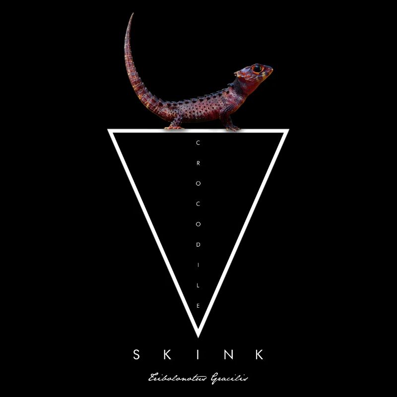 Crocodile Skink Lizard Geometric
