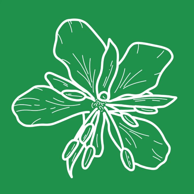 Weidenrose minimalistisch