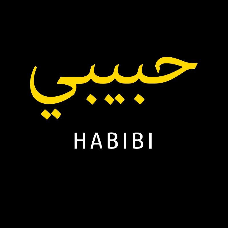 Habibi Arabic idea | Habibi