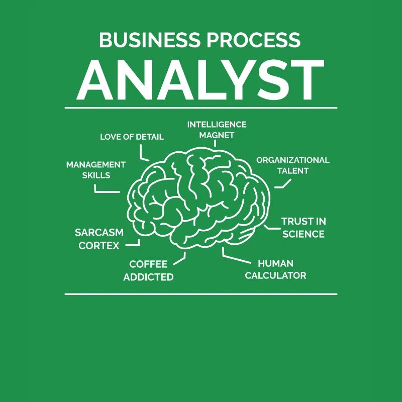 Business Process Analyst