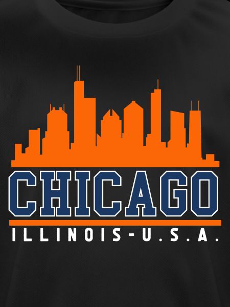 Chicago Illinois Skyline