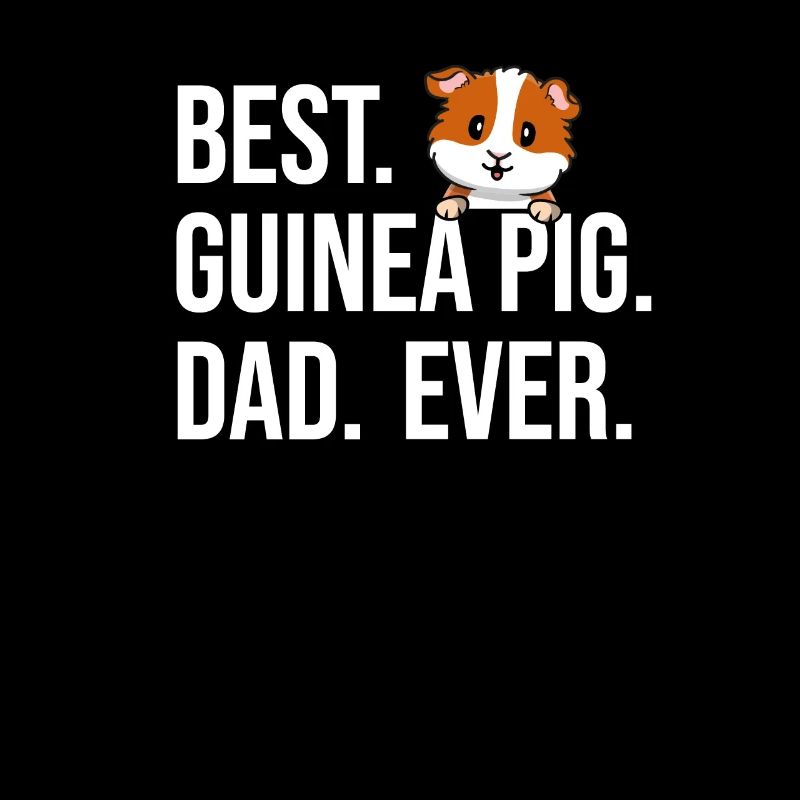 Papa cochon d’Inde